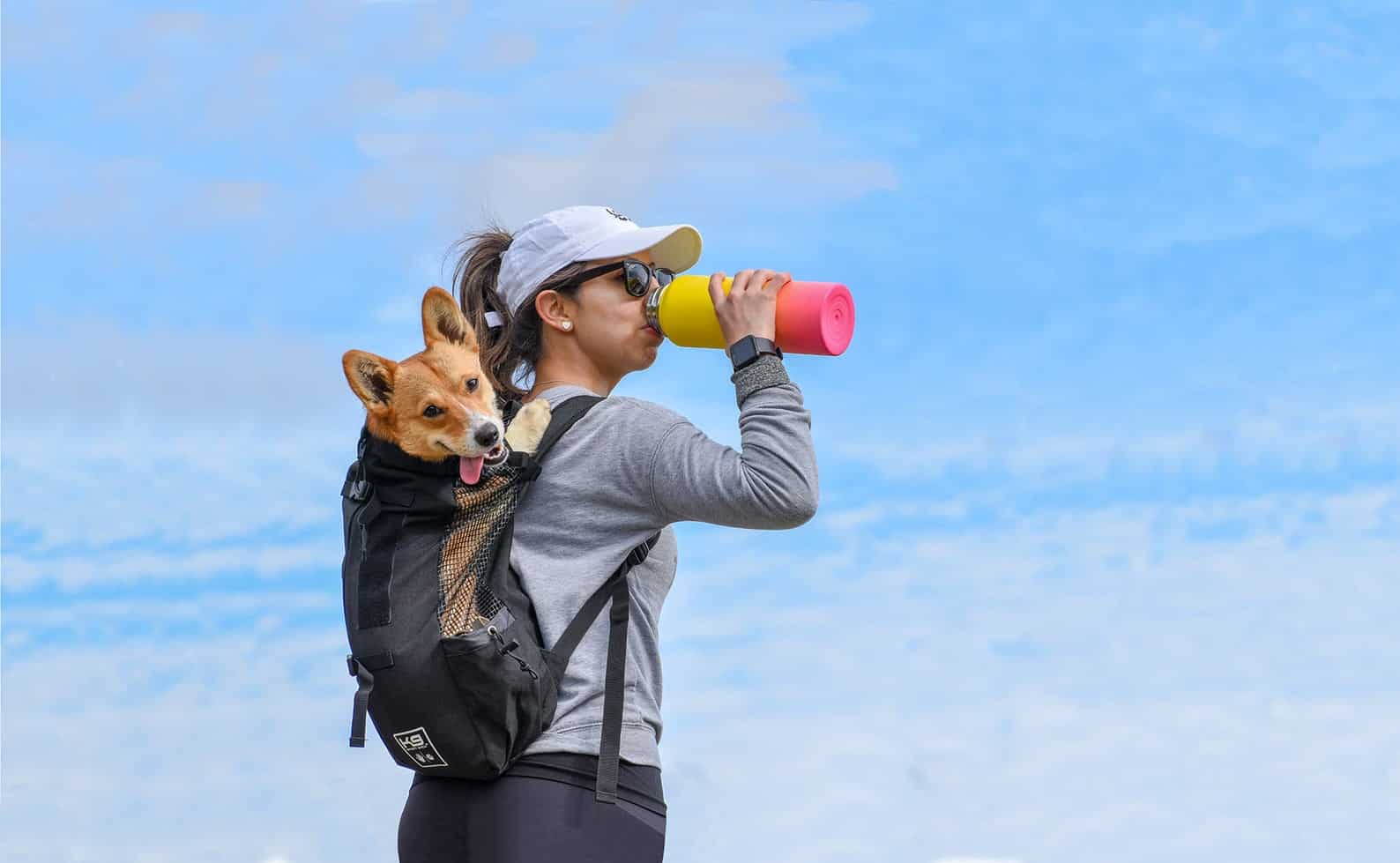 50 Luxury Dog Accessories to Make & Sell In 2024 HearMeFolks