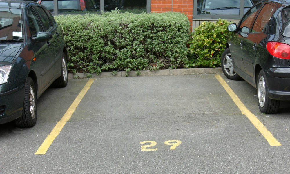 16 Best Things to Rent Out for Money [13 Pays 500 a Day]