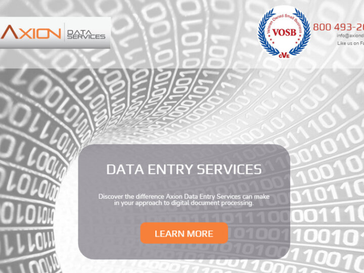 Axion Data Entry Services review