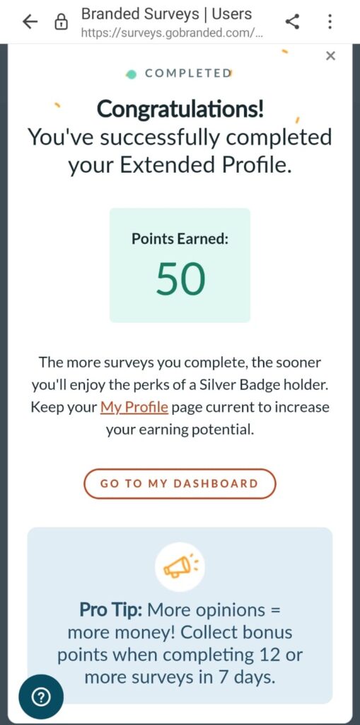 Branded Surveys Extended Profile Survey Bonus