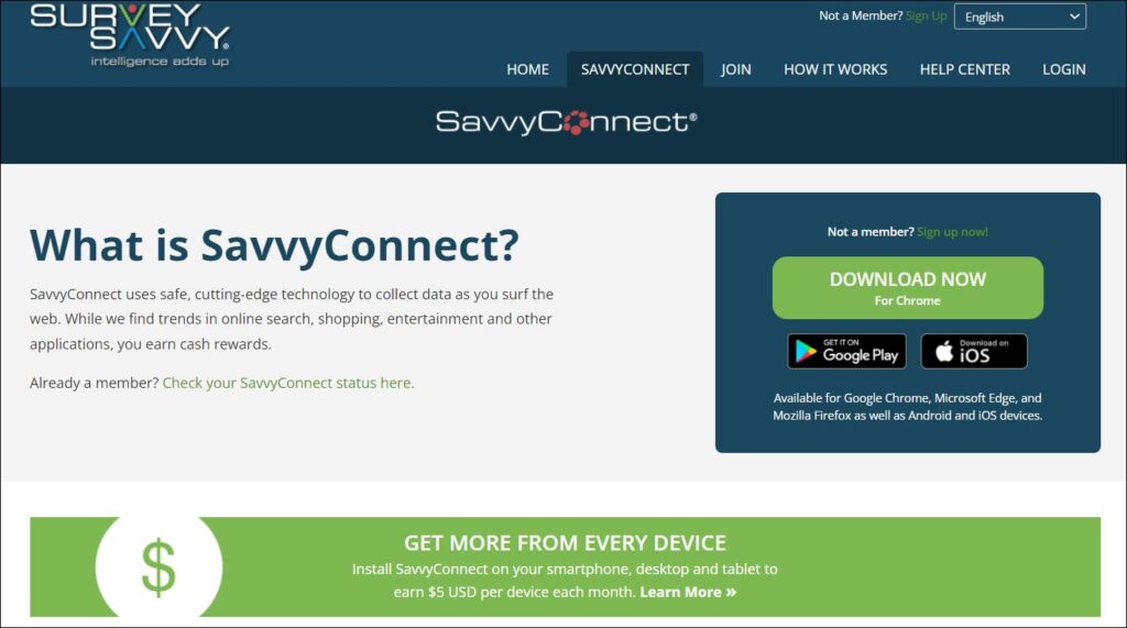 Surveysavvy review and how to earn money on surveysavvy