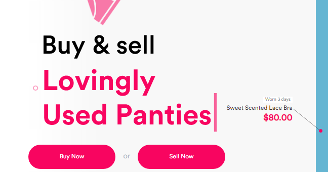 Is Selling Used Panties Legal? Making Bank without Breaking the Law - Sofia  Gray