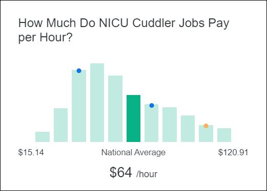 Professional Cuddler Salary